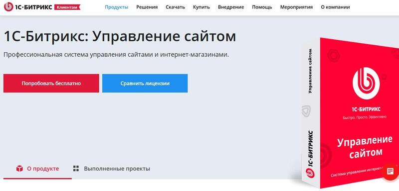 Поисковое продвижение