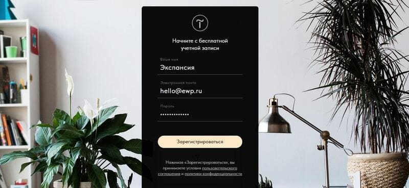 Поисковое продвижение