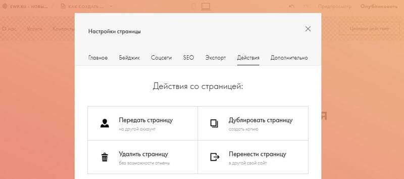 Поисковое продвижение