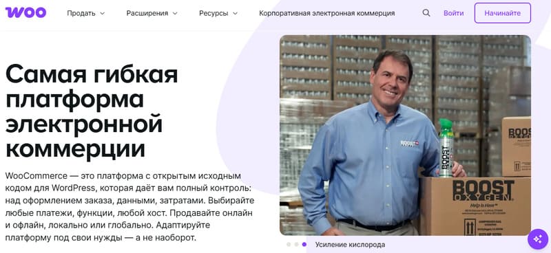 Поисковое продвижение